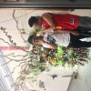2017雲彩之旅